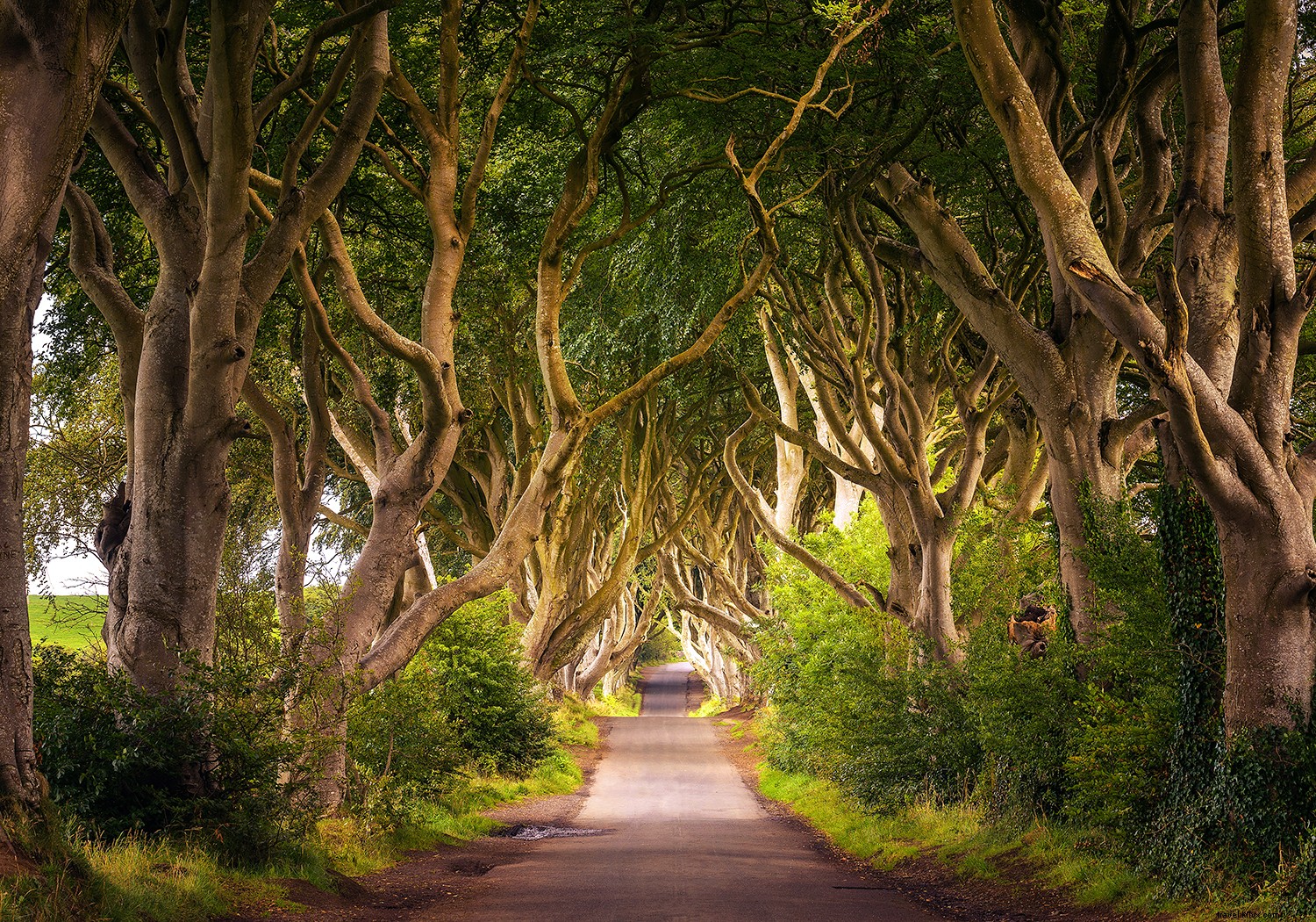 Pourquoi est-il temps de réserver un voyage en Irlande ? 